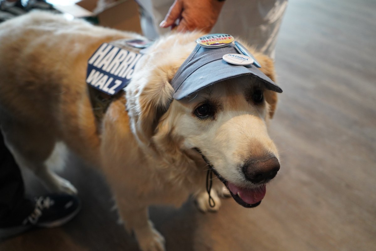 KamalaForAZ's tweet photo. What a paw-some volunteer! ๐พ Bark if you're ready to help Vice President @KamalaHarris keep Arizona blue: https://t.co/y1wRymDmby https://t.co/oZBIylft0Y