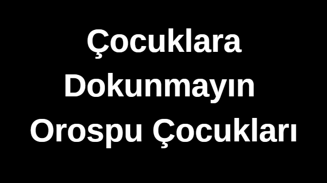 babil34tr's tweet photo. #Narin https://t.co/xsIyQaEnMy