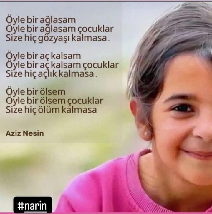 #NarinİçinKısas