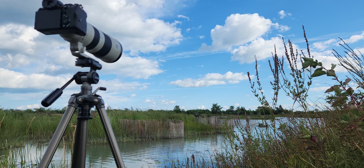 We hunting birds today