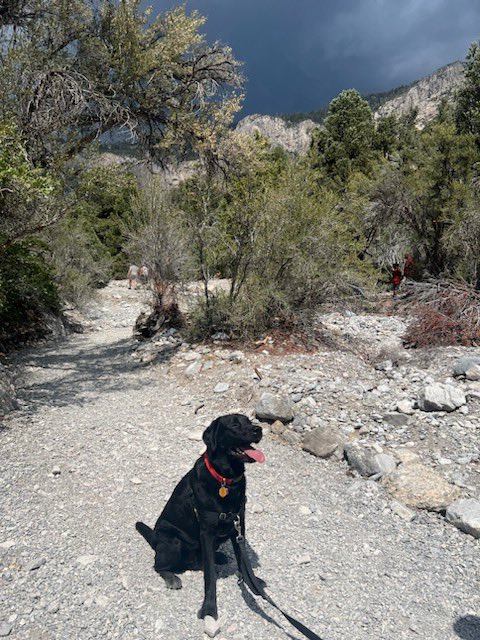 Todd Stoudenmire tweet media