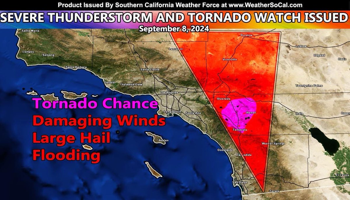 Madmoiselle🧛🧃 tweet media