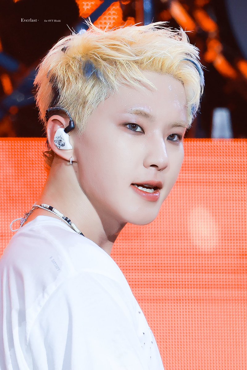 17♡様 240908 Lollapalooza Berlin 🤍 #세븐틴 #SEVENTEEN #SVT #호시 #HOSHI