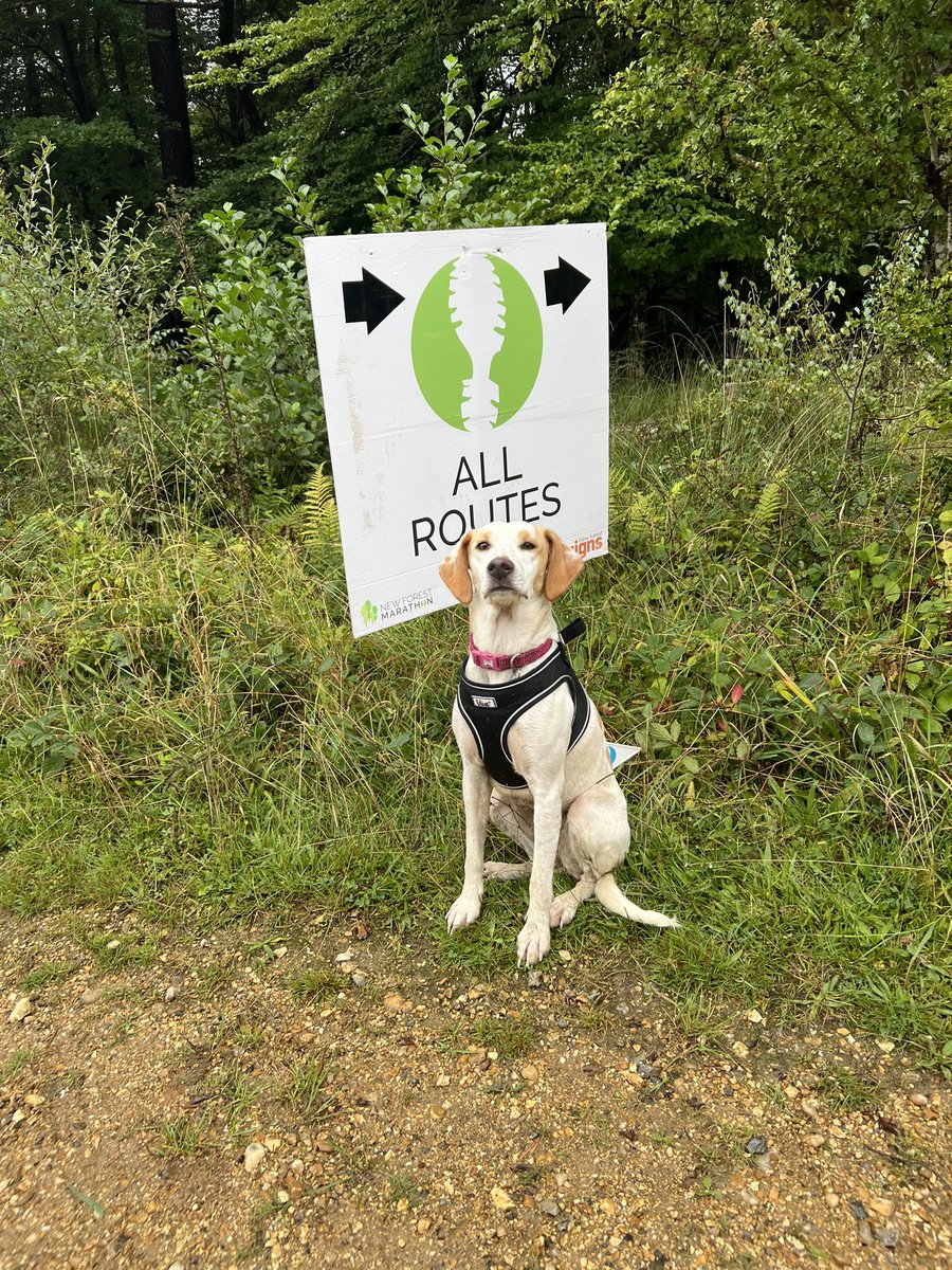 We had a great time with <a href="/Sotoncity/">Southampton City Scouts</a> Explorer Scouts helping at this year’s <a href="/NFMarathon/">New Forest Marathon</a> … especially Nala the dog!