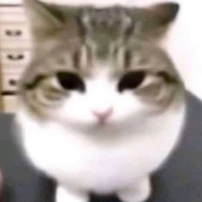 feidkeu's tweet image. #NuevaFotoDePerfil #soltero #slay #devore #supere #nomeimporta #muereelias