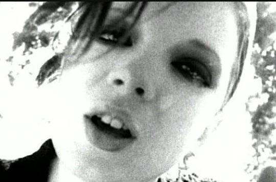 Bryce Katz Ⓥ tweet media