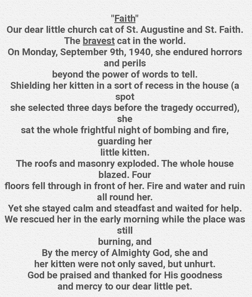 The Vicar of St Augustine in the City of London wrote a tribute to their church cat 'Faith' who survived a night of bombing on 9th September 1940. She seemed to have a premonition of the devastation to come.
In 1945 Faith was the first cat to be awarded a medal for bravery.