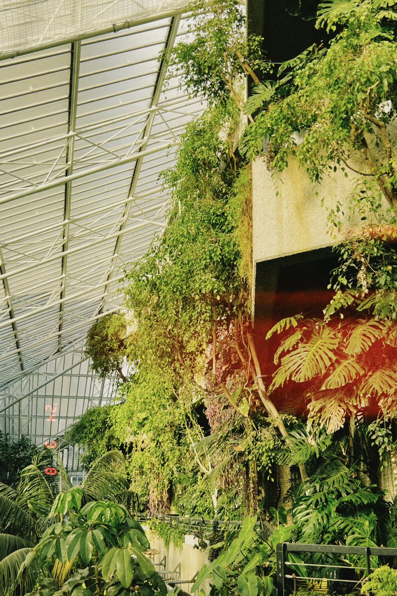 bogsbody's tweet image. i look like i grew these plants myself