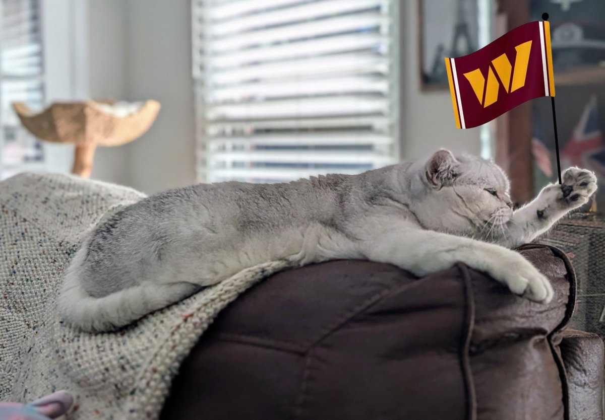 Go Washington! #Commanders #WashingtonDC