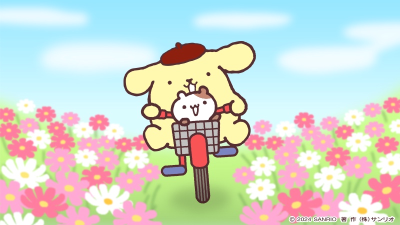 purin_sanrio's tweet photo. コスモス畑から、おはよ〜！ https://t.co/GsLFV4osps