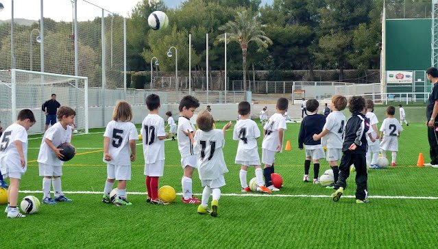 " ¡ Cómo añoro aquel colegio donde no se fabricaban profesionales !, donde el ser humano aún era una integridad, cuando los hombres defendían el humanismo más auténtico, y el pensamiento y la poesía eran una misma manifestacíon del espíritu. " 

Ernesto Sabato 

Antes del fin.