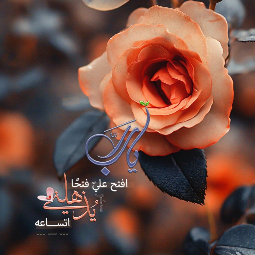 اللهُمَّ افتح عليّ فتحًا يُذهلني اتساعه ، وَأنر بصريتي باﻷسباب   وَ الحكمة ما يملؤني قناعة، وَارضَ عنّي رِضا لا أشقى بعده🤍