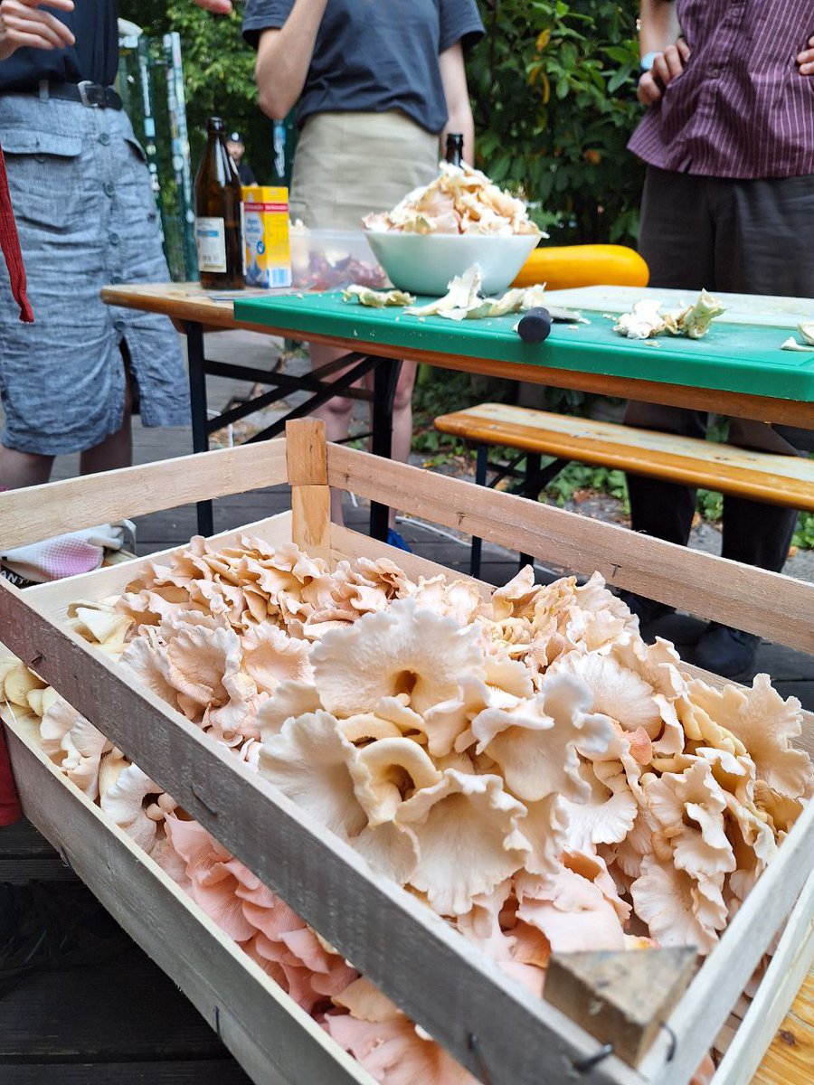 panke.gallery tweet media