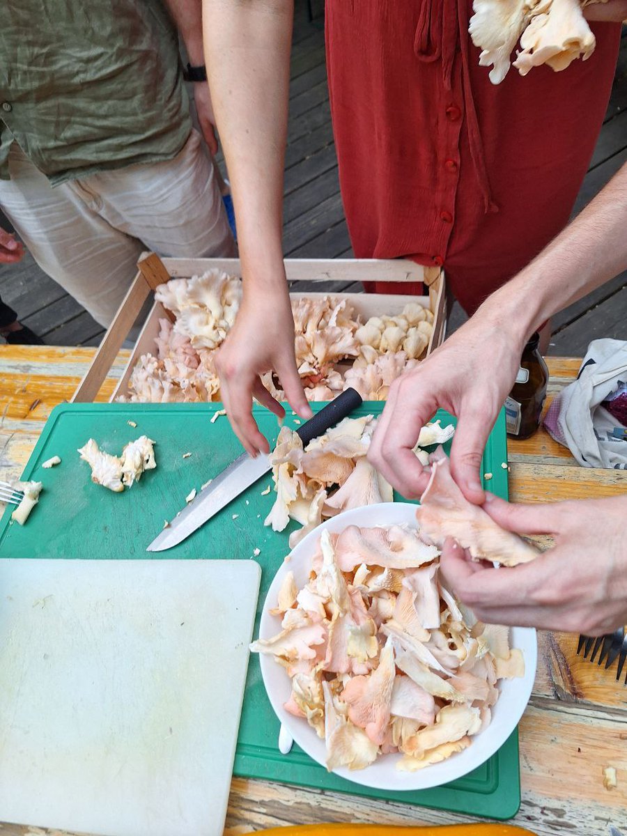 panke.gallery tweet media