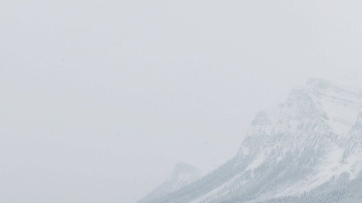 mocacocoa tweet media