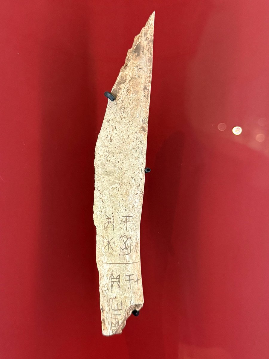 ThomasCoward3's tweet photo. Musée Cernuschi, Paris 1/4 https://t.co/prqca1u8ox