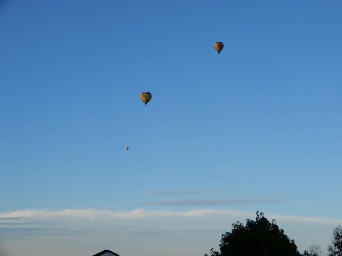 Willeminaph's tweet photo. Net gaan er hier 4 luchtballonnen de lucht in. En onze hond maar blaffen ๐. #colmschate #colmschatezuid #basballonvaarten #ballooning #deventer https://t.co/261hMiVvdc
