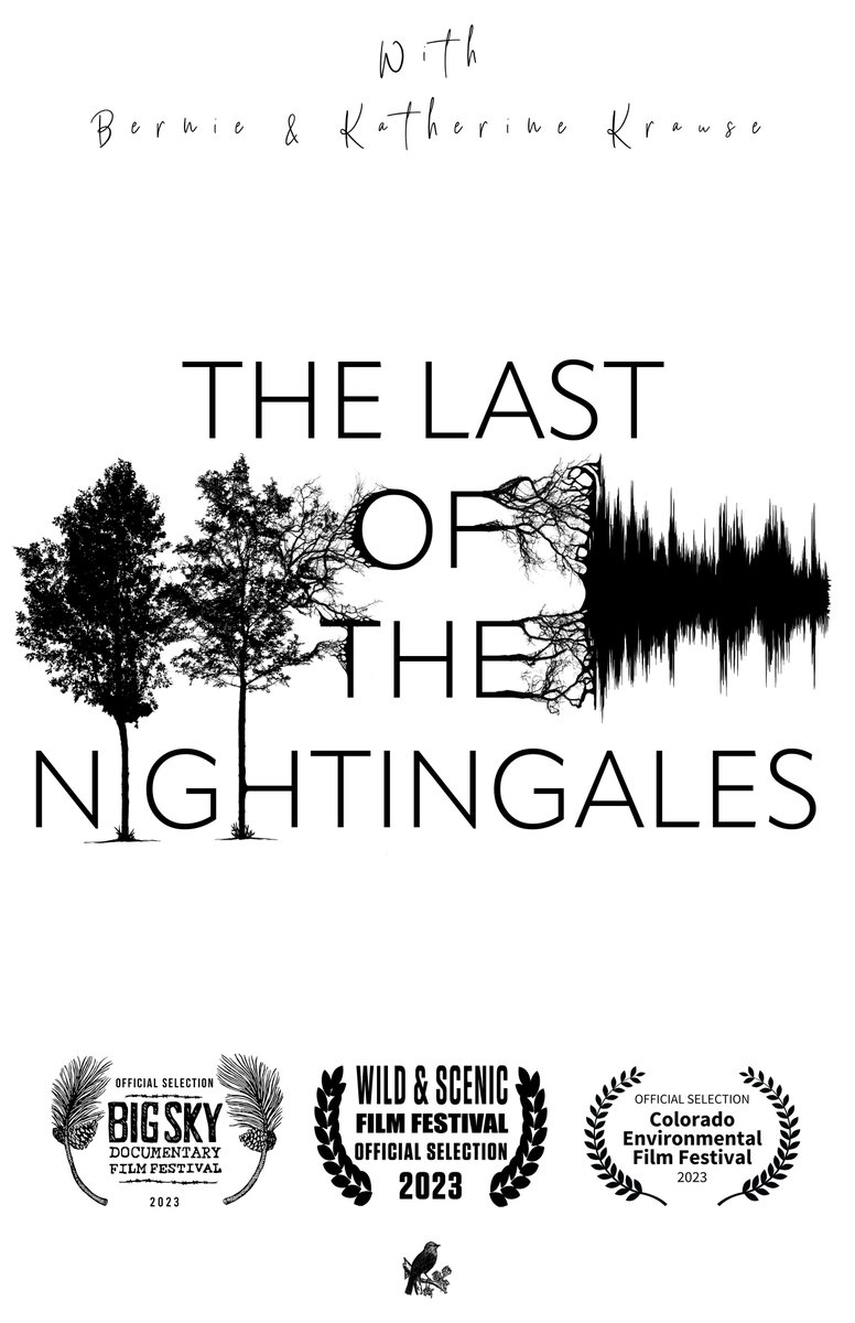 rahulnihalani's tweet photo. 2/ ArtsXClimate SHORTS by some incredible artists.

I'm super excited for all of these, but especially "The Last of the Nightingales," which invites us to experience the rich acoustic beauty of the living world. Some which can't be experienced anymore.

https://t.co/xLQ5r7K3QN https://t.co/nFsrib3Wmx