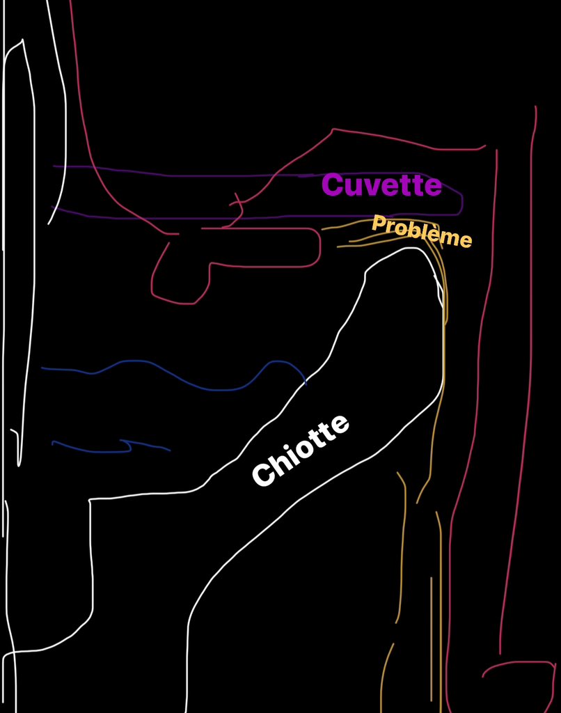 VraiconAlpin's tweet image. Les femmes ne savent pas, c’est un peu notre charge mentale à nous.