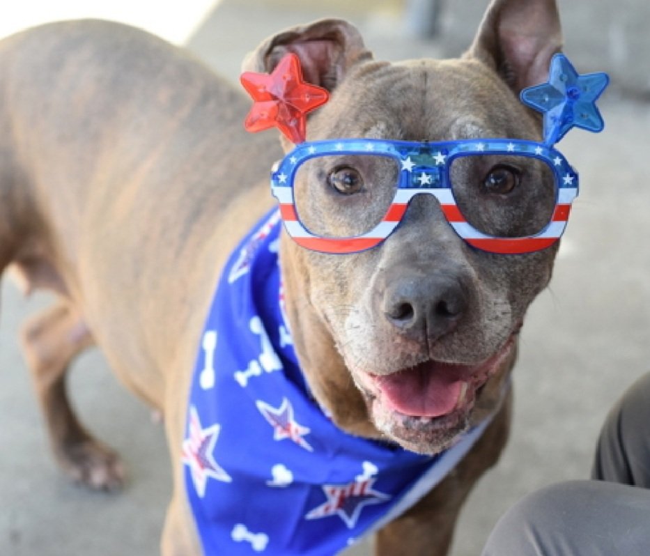 Good News!
Bristol has been adopted 🥳🎉