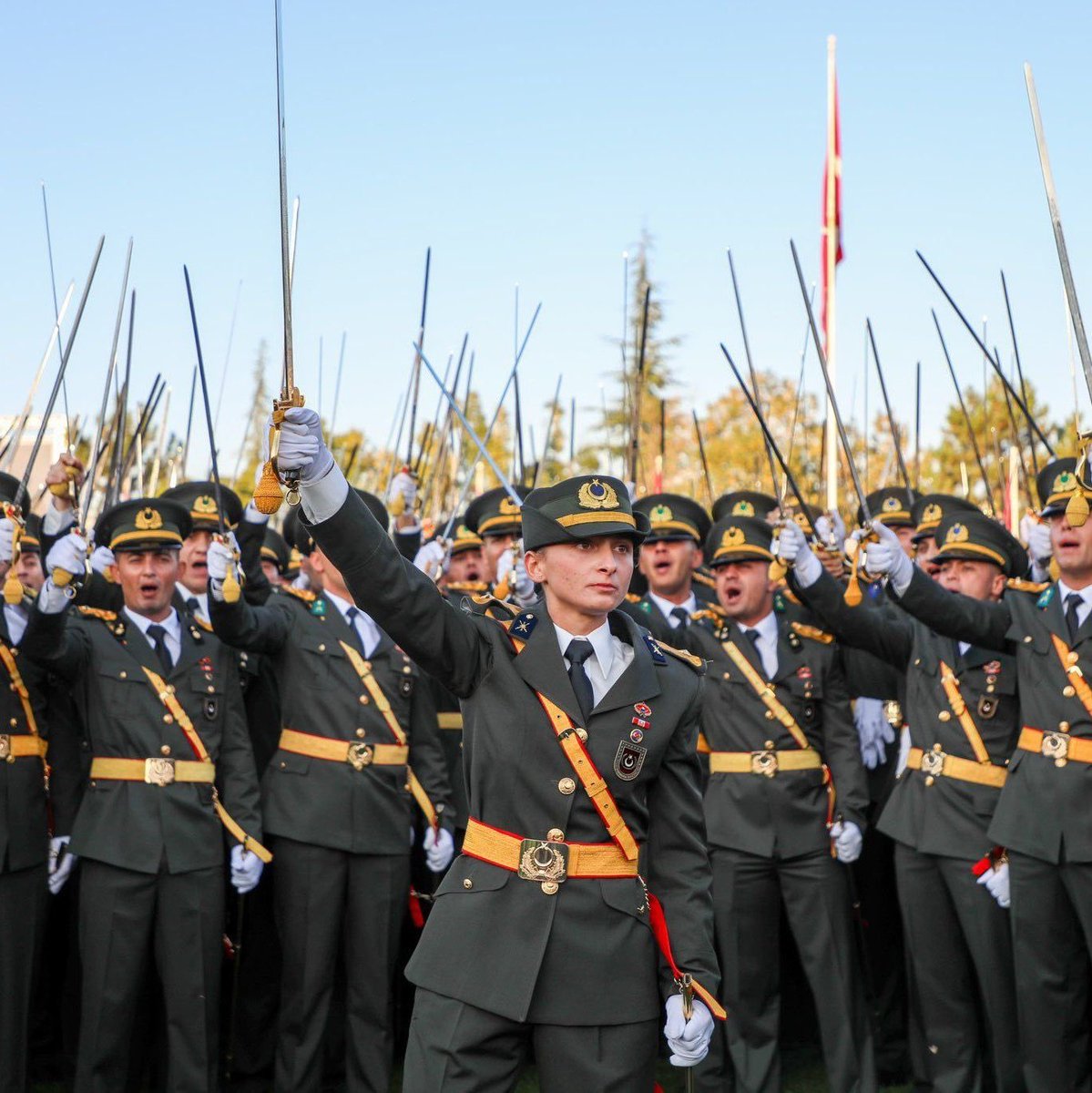 Arap değil Türk'üz, arap aşığının değil Ne mutlu Türküm diyen Mustafa Kemal'in askerleriyiz Söyleyecek tek sözümüz budur! #TegmeniminYanındayım