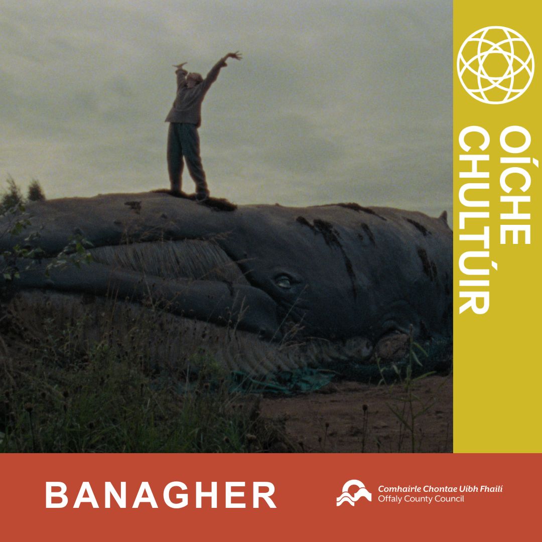 WHALE FALL- an evening of short films by Patrick Hough and David Begley, and new paintings by Sheila Hough inspired by the films' themes

📍 <a href="/JJHOUGHS/">JJ HOUGHS</a>, Banagher
⏰ 7pm
📆 20 Sept 2024
🎫FREE ADMISSION: culturenight.ie/event/whale-fa…

#CultureNight #OícheChultúir