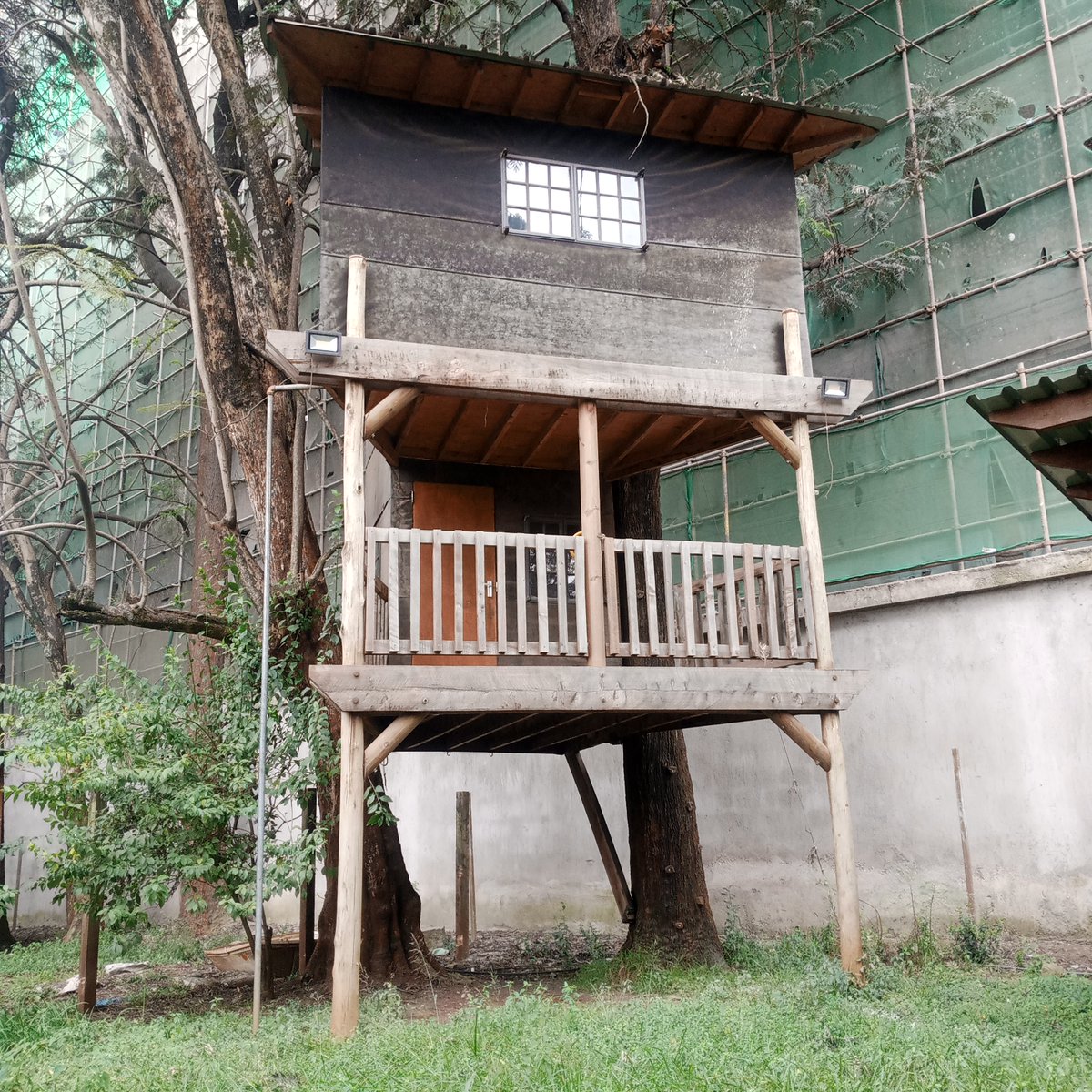 crystalgardensK's tweet image. A tree house for them kids #spaceforkids #kids