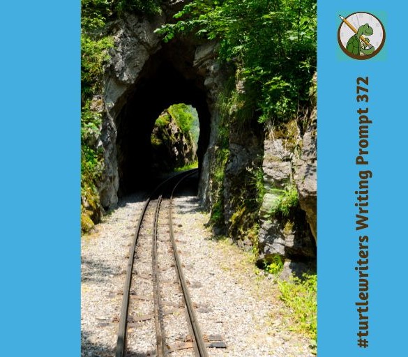 RosettaYorke's tweet image. Show what you can do #turtlewriters! Use this writing prompt image to inspire you, or reply with a few lines from your WIP if you prefer!

Or a drawing...or anything creative that you've been doing recently.

Stay safe &amp;amp; well, my friends.  🙂 🐢 ❤️🍀 #WritingCommunity #amwriting