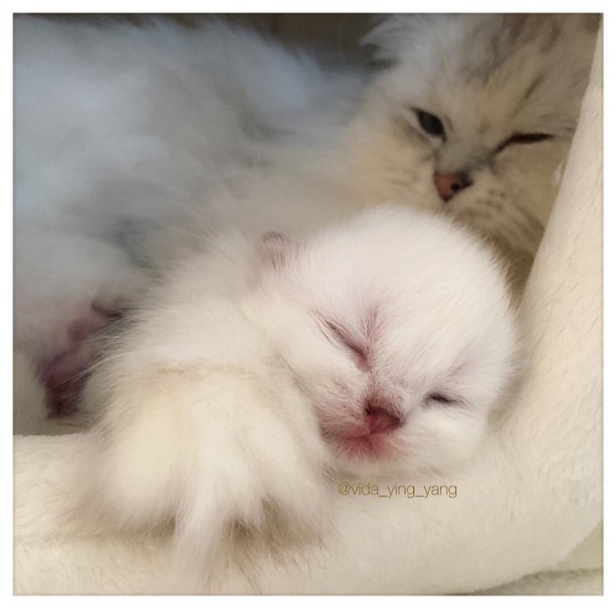 This world is run ny frail egos and it's not work. https://t.co/6W9IGrZJtJ<a href="/tag/zoezane"class="tags"><span>#zoezane</span></a>