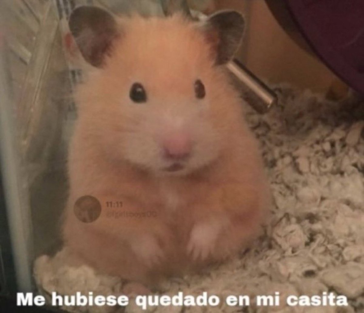 *Me quejo de que no salgo*

También yo cuando salgo:
