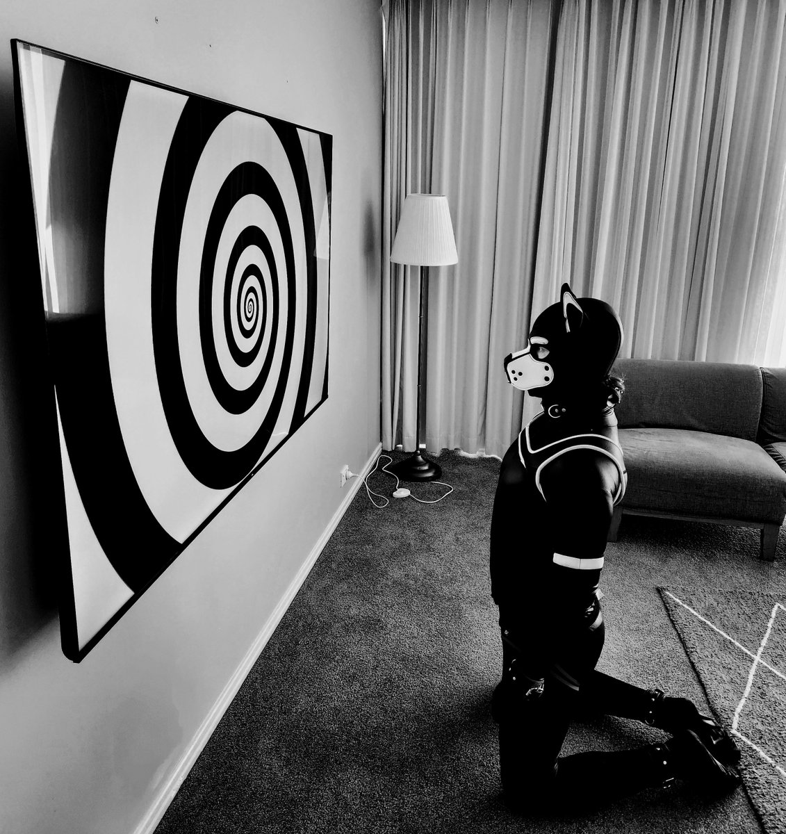 Pup Vector (@pvector221) on Twitter photo 