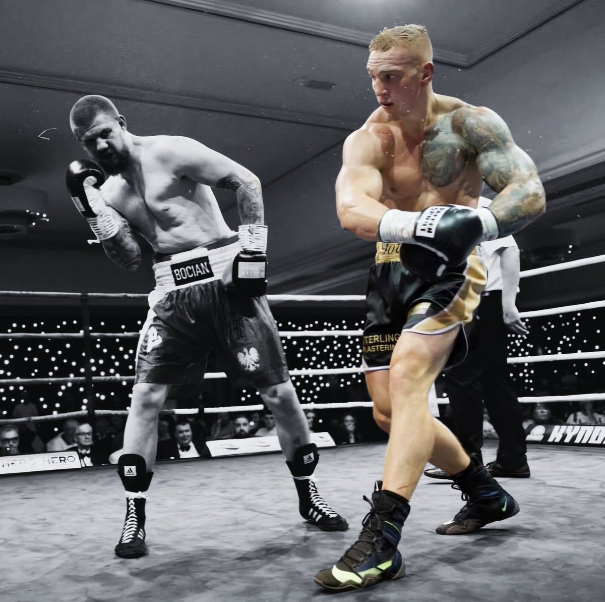 Forrest Ready ✅️

Top Cruiserweight talent <a href="/ScottForrest94/">Scott Forrest</a> is closing in on the top names in the division.🥊

The hard-hitting KO machine has dominated all of his pro appearances and the domestic dust ups are just around the corner.🔥

#boxing #kynochboxing