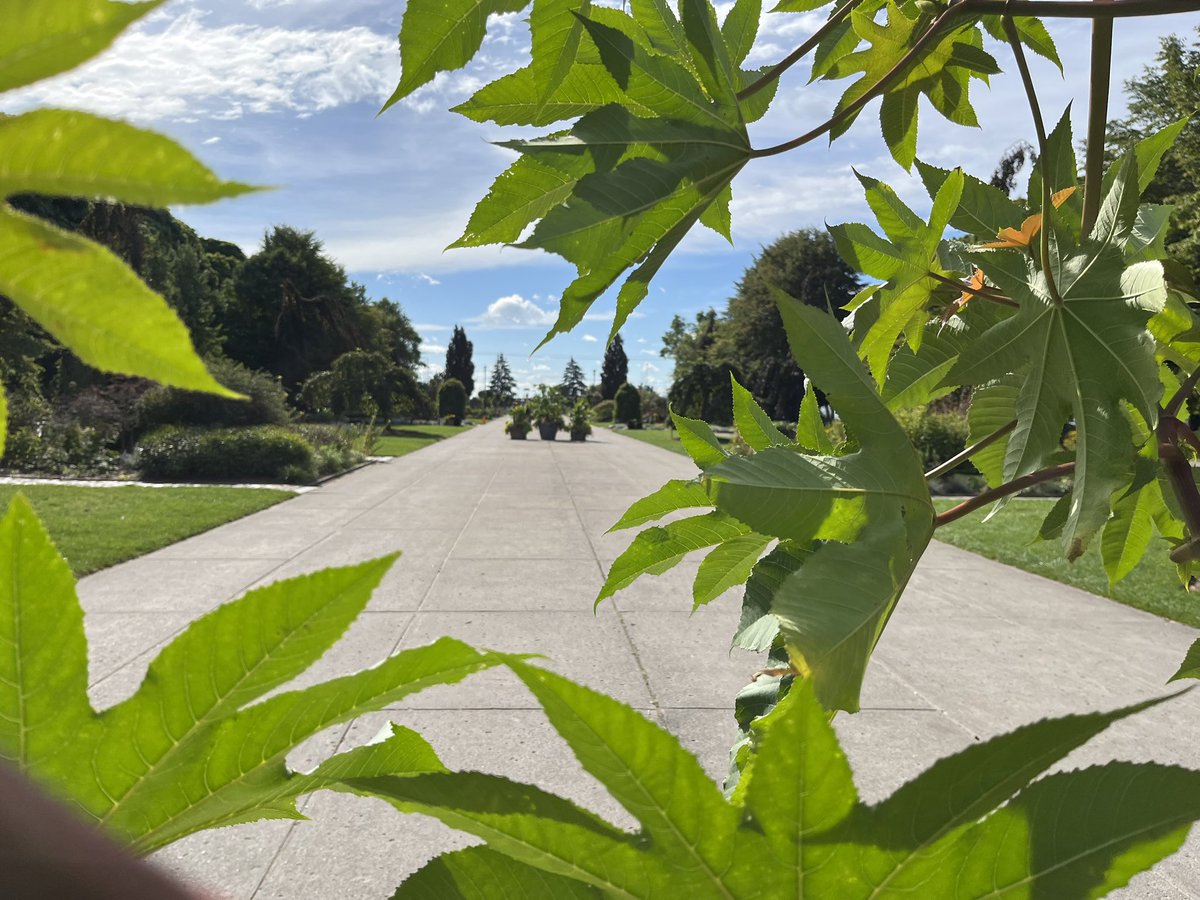 ChristopherWormanMBE tweet media