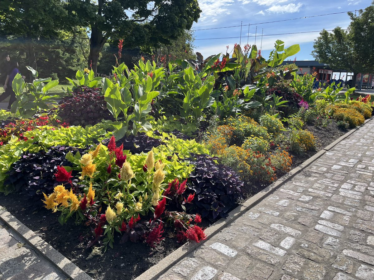 A great day to visit #Toronto Islands  which has a #blueflagaward beach so just needs a <a href="/GreenFlagAwdInt/">Green Flag Award International</a> for the parkland (and yes even got to go on a bike ride!) #loveparks <a href="/TorontoPFR/">City of Toronto PFR</a> <a href="/cityoftoronto/">City of Toronto 🇨🇦</a>