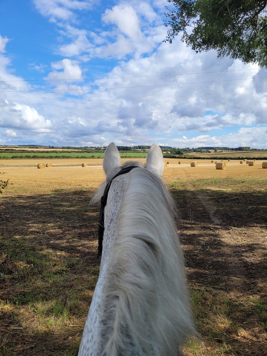 A weekend of this, and I'm all set for whatever next week brings. 5am will be back around all too soon!