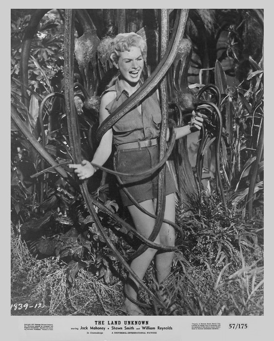 Buck Theorem tweet media