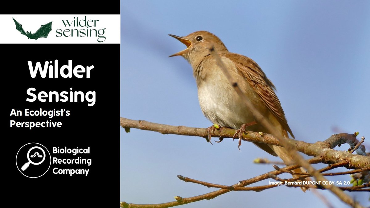Keiron Derek Brown (@keirondbrown) on Twitter photo Learn how <a href="/Ethosep/">EthosEP</a> has developed a hybrid programme of #bioacoustic and field surveys for undertaking ornithological site monitoring. <a href="/StephenMoss_TV/">Stephen Moss</a> <a href="/WilderSensing/">Wilder Sensing</a> <a href="/nhbsNews/">nhbsNews</a> <a href="/WildlifeAcoust/">Wildlife Acoustics</a>
eventbrite.co.uk/e/944096226227 Learn how <a href="/Ethosep/">EthosEP</a> has developed a hybrid programme of #bioacoustic and field surveys for undertaking ornithological site monitoring. <a href="/StephenMoss_TV/">Stephen Moss</a> <a href="/WilderSensing/">Wilder Sensing</a> <a href="/nhbsNews/">nhbsNews</a> <a href="/WildlifeAcoust/">Wildlife Acoustics</a>
eventbrite.co.uk/e/944096226227