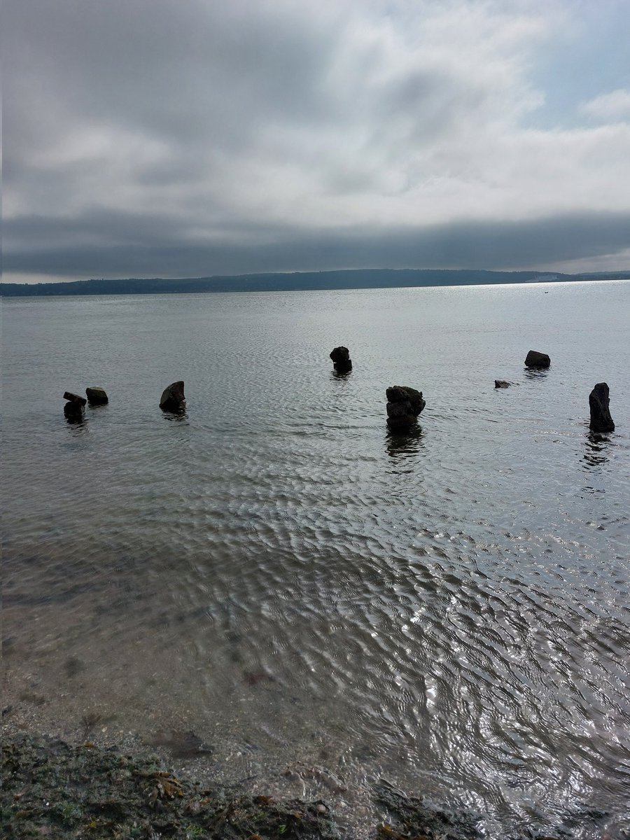Whoever created these beautiful sculptures on Belfast Loughshore at Hazelbank is a gem. Would love to hear from you. Brightened a lovely Sunday walk.