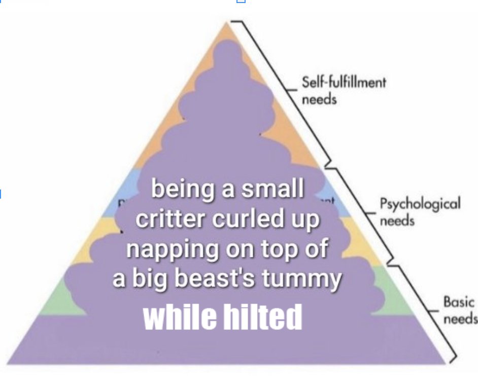 🔞cat snatch fever😼😽🔞 tweet media