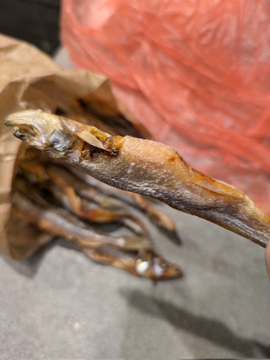 Hubert Łępicki tweet media