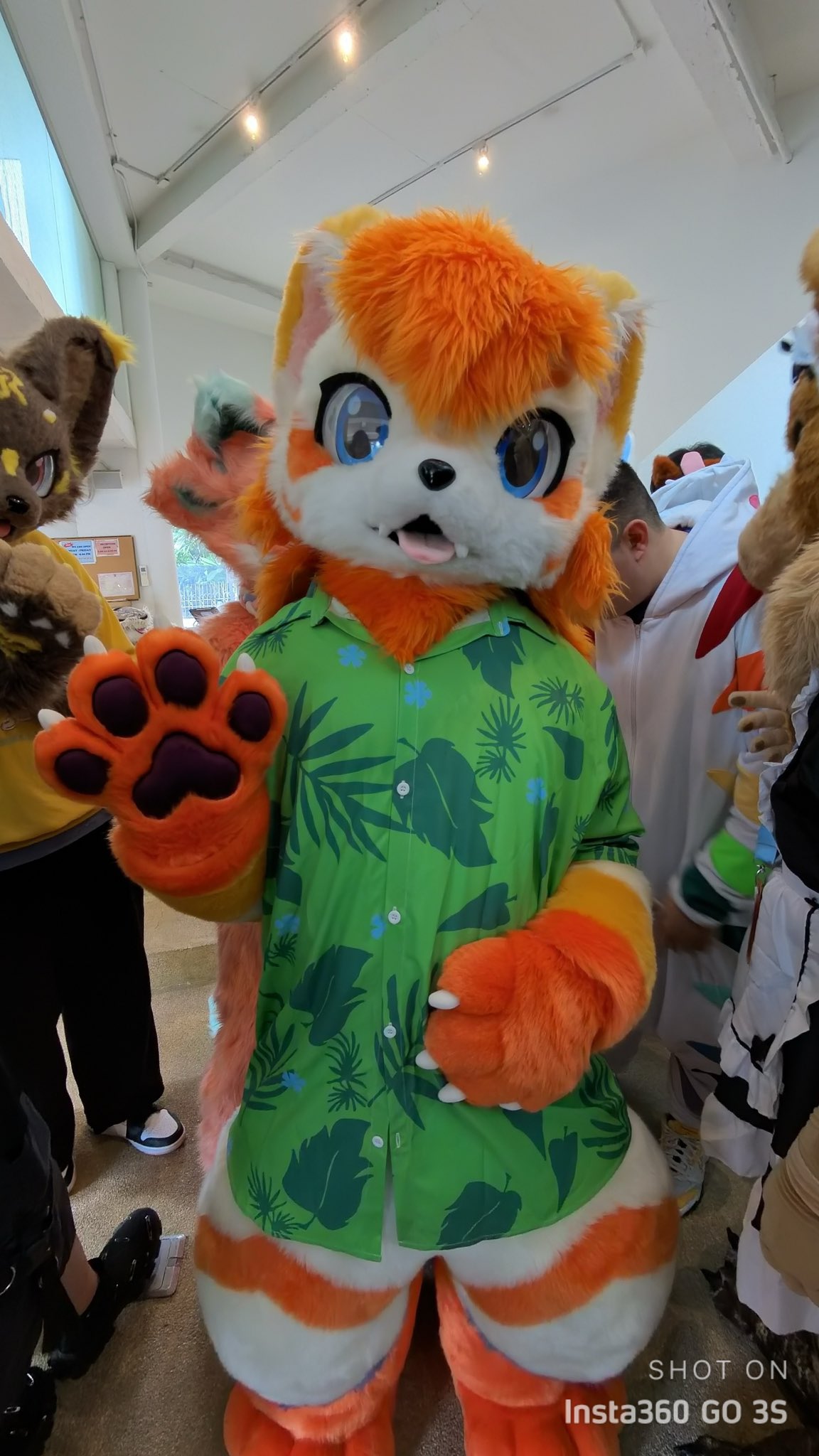 Sorairo ▻ ✈️ Stay Home (@sorairo_husky) / X
