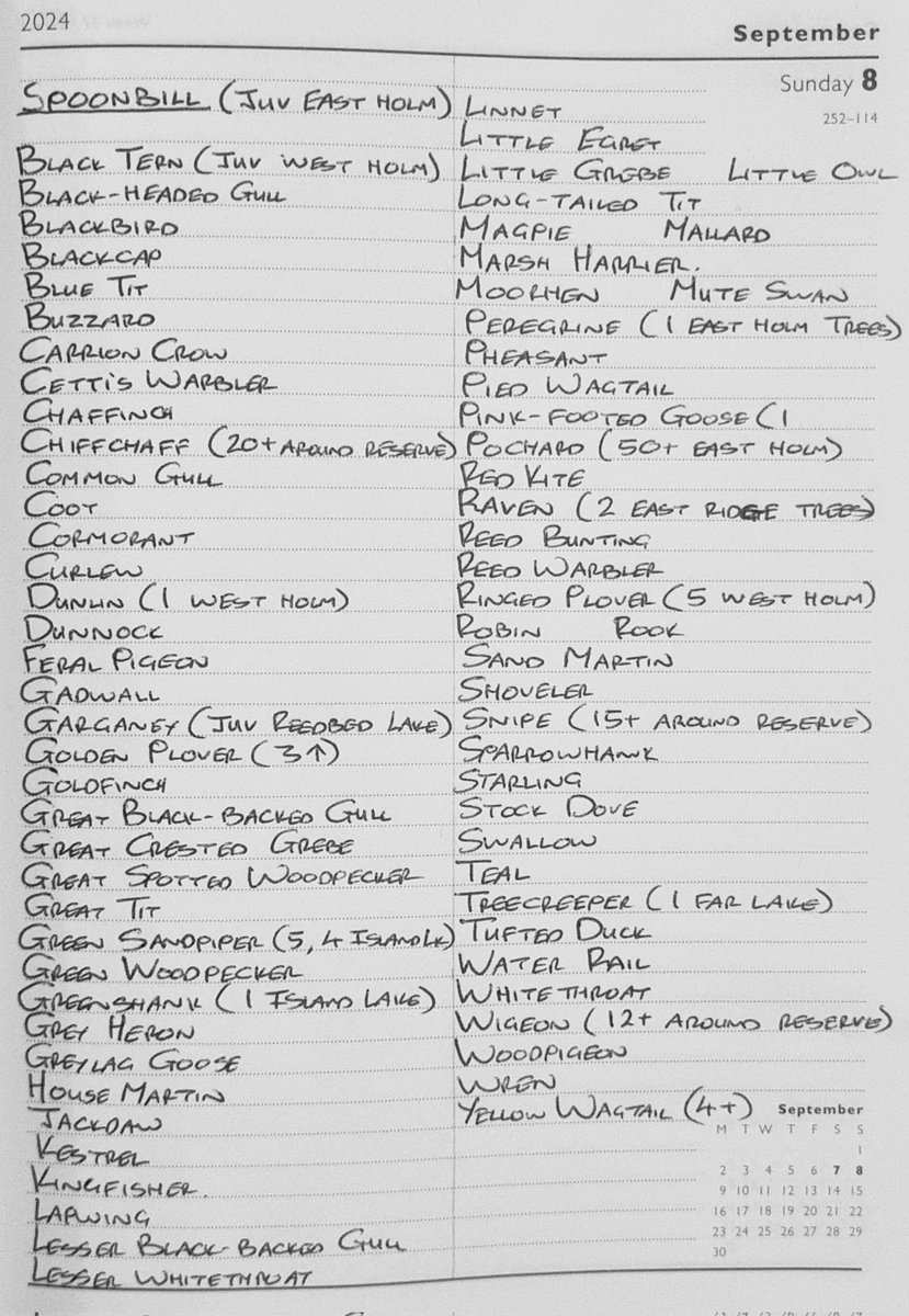 Sightings:8th September 2024.
<a href="/NorthCaveWet/">North Cave Wetlands</a>