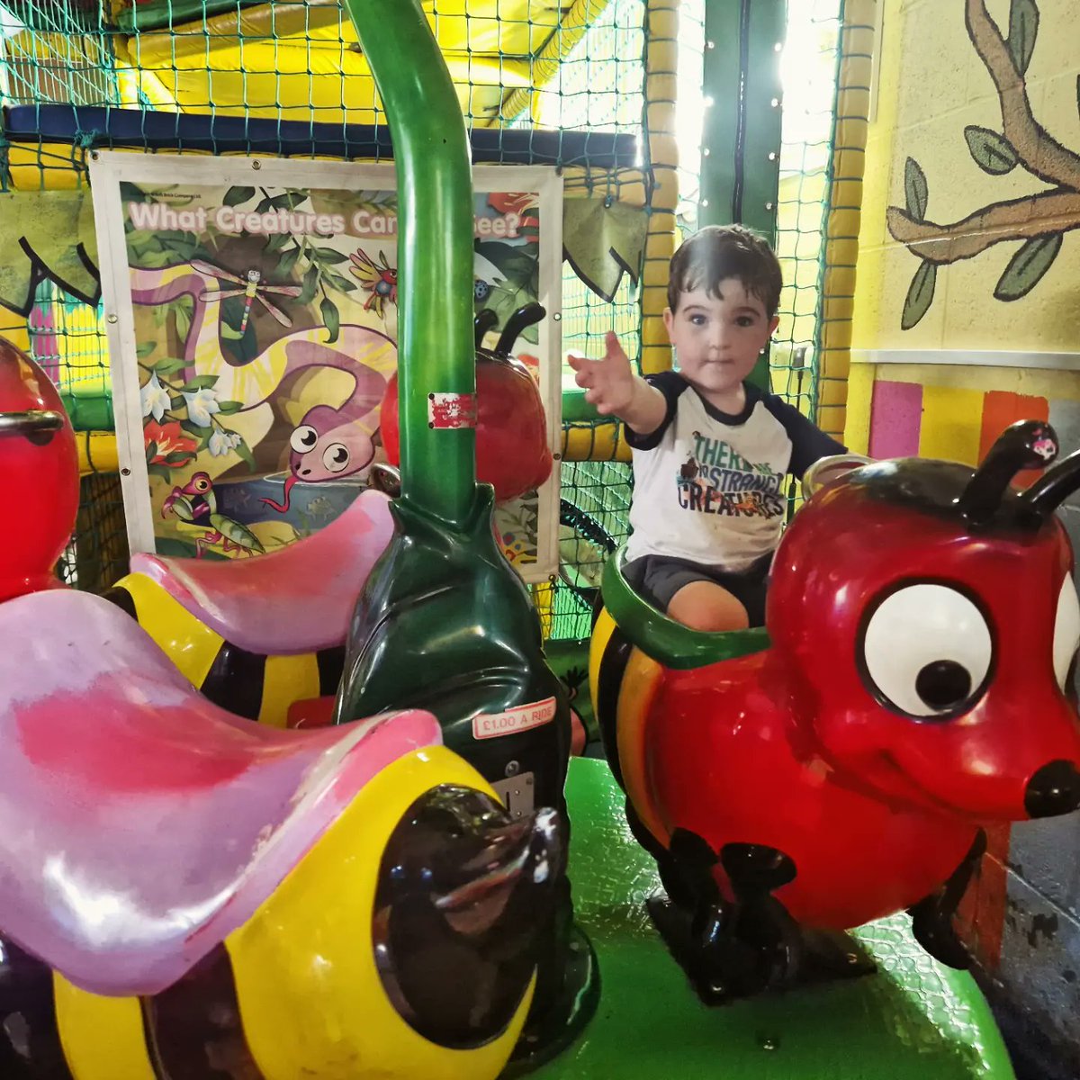 Victoria Macfarlane tweet media