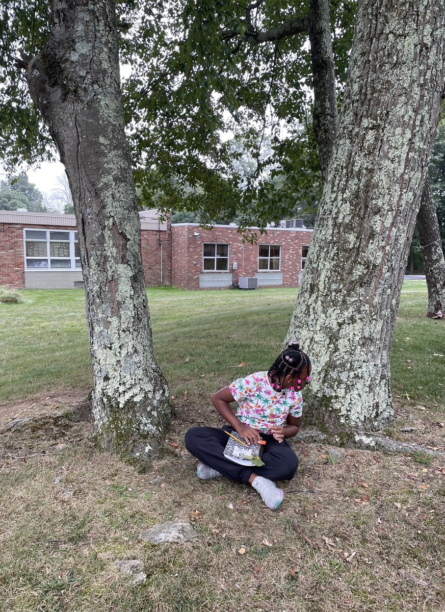 Shalyn Fry tweet media