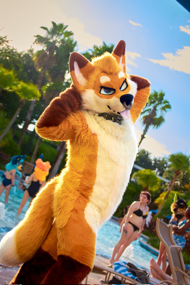 HOT FOX SUMMER 🦊☀️🌊 #FursuitFriday #Megaplex2024