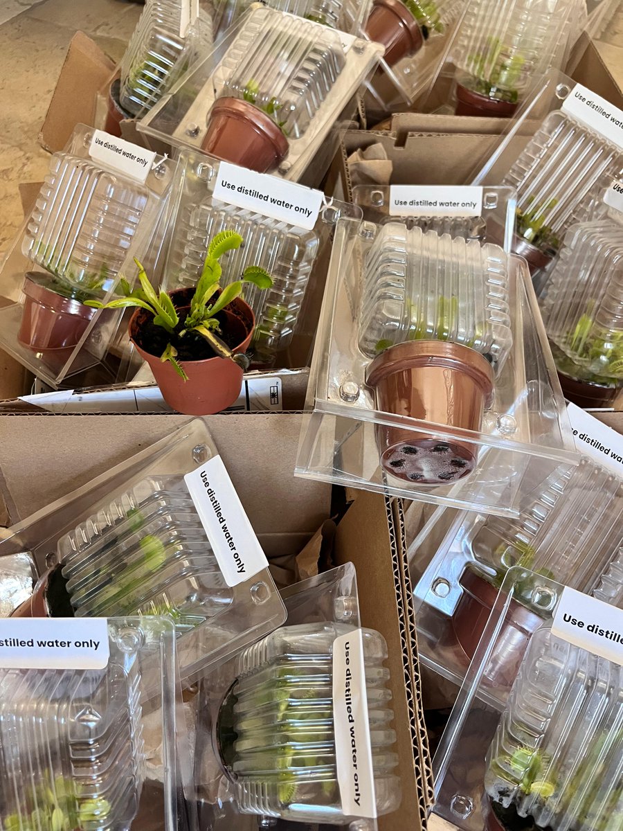 Dani Grant tweet media