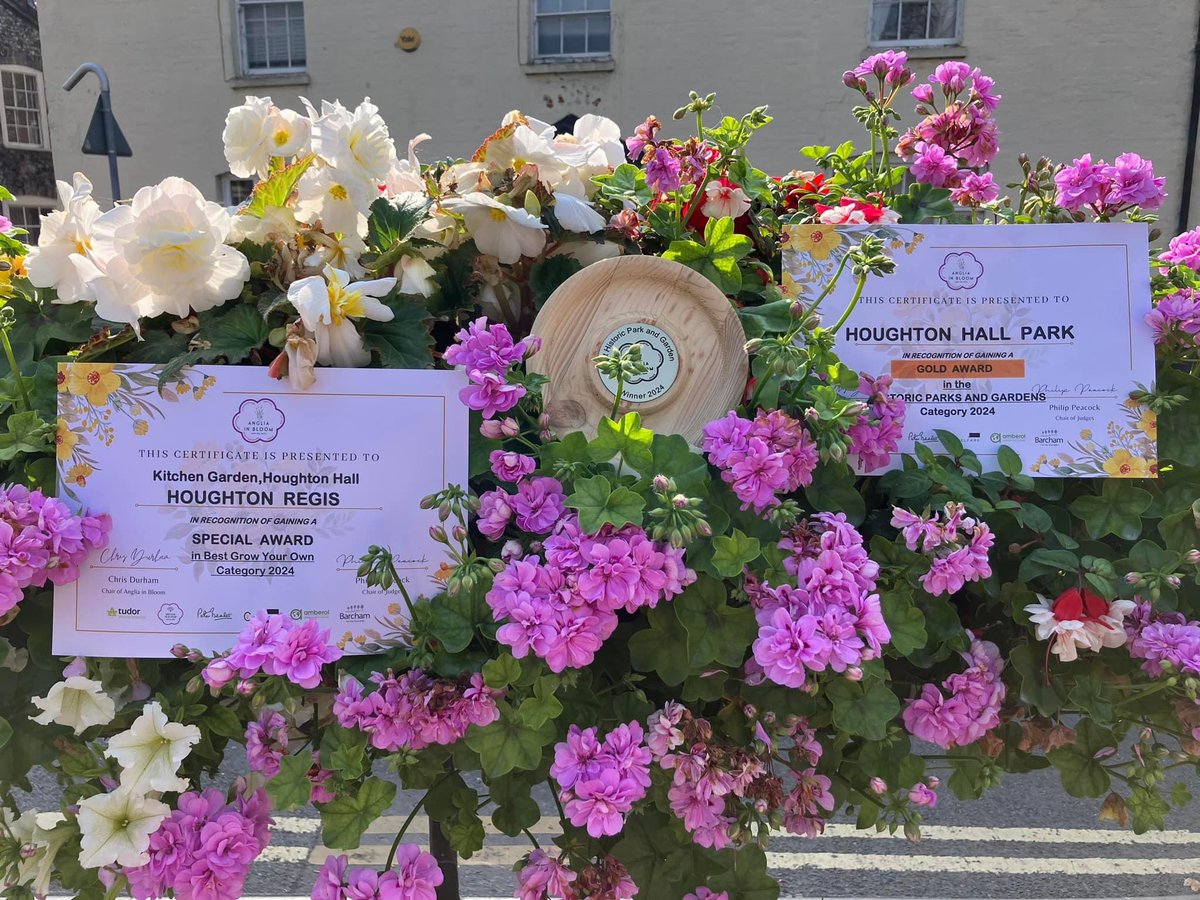 Absolutely blooming brilliant 🥰

🌺🌸🌼

#HRinBloom #OurBloom #RHSBloom60 #BloomingBedfordshire