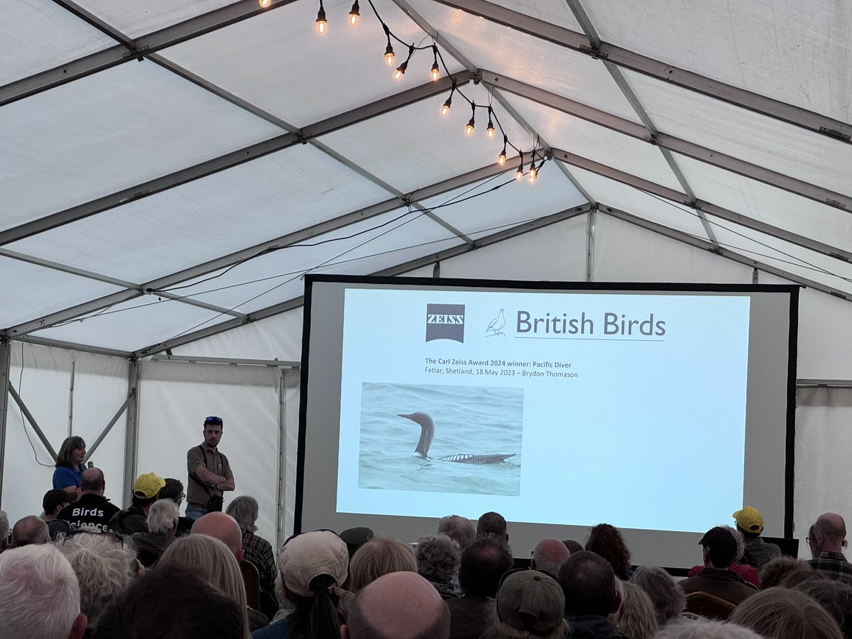 British Birds tweet media
