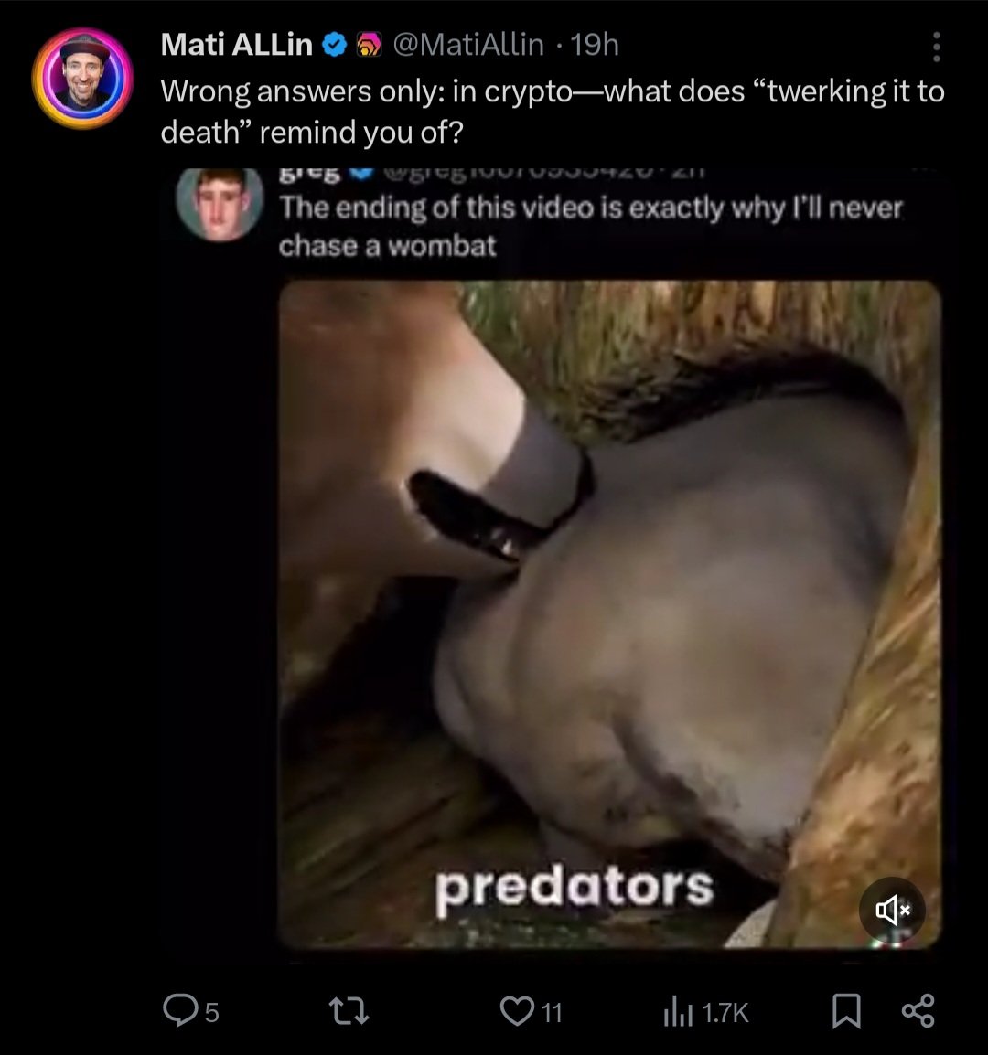 EndofLine369's tweet image. 11 Likes in 19 hours tells me people are starting to notice that the GAYOPS is real and they ain't having any of it‼️ 

Stop hiding in the closet hole, Mati‼️ @MatiAllin

#GAYOPS $HEX #Fauxicans