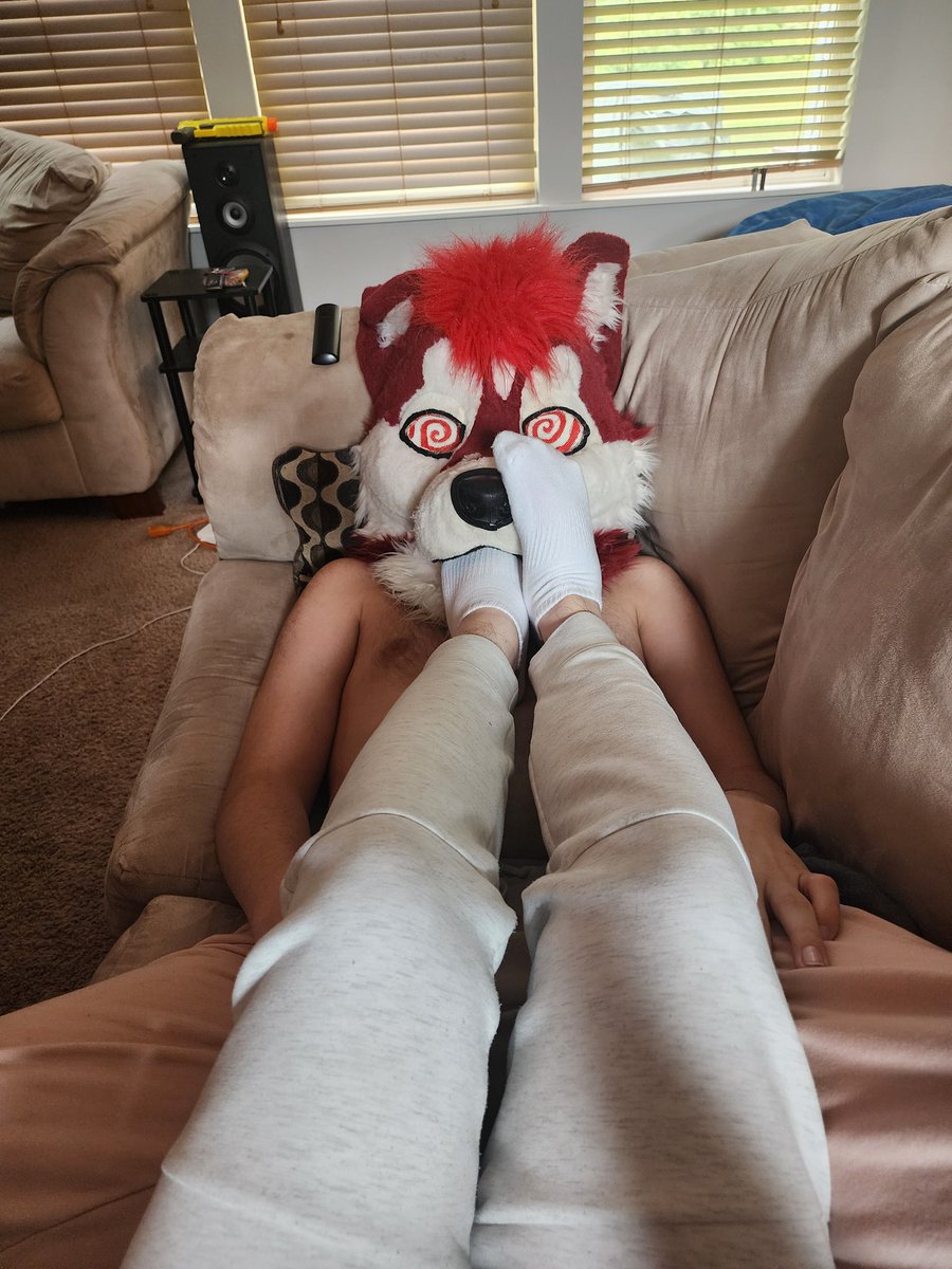 Gay dog sniffing socks 4k UHD

📸🧦: @the_gayter_thot